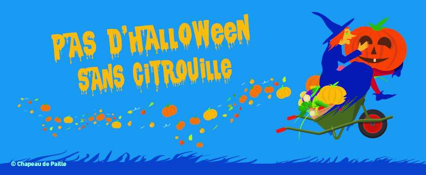 ANIMATIONS HALLOWEEN sorcière , citrouille, cueillette, activité, toussaint , vacances, halloween