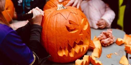 HALLOWEEN 2021 sorcière , citrouille, cueillette, halloween